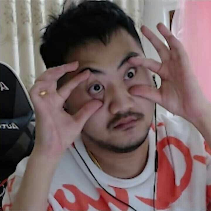 其他新秀树 其他新秀树