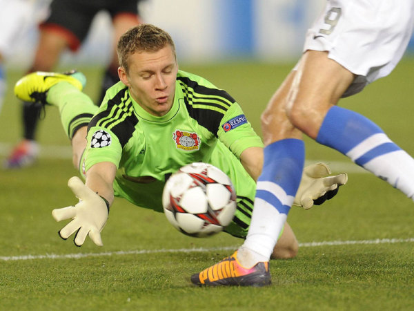 所导致的皮 所导致的皮