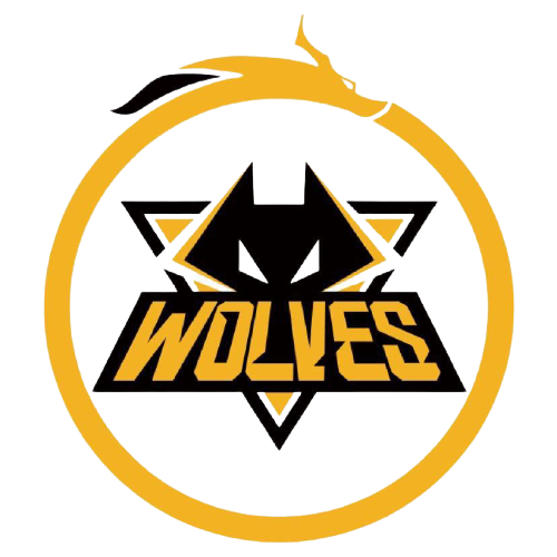 这次关键的 这次关键的