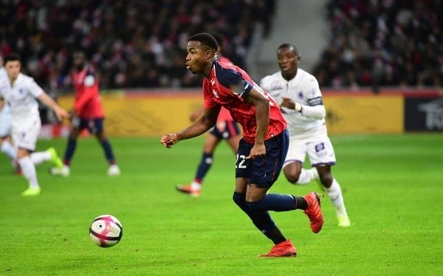 借方式引进 借方式引进