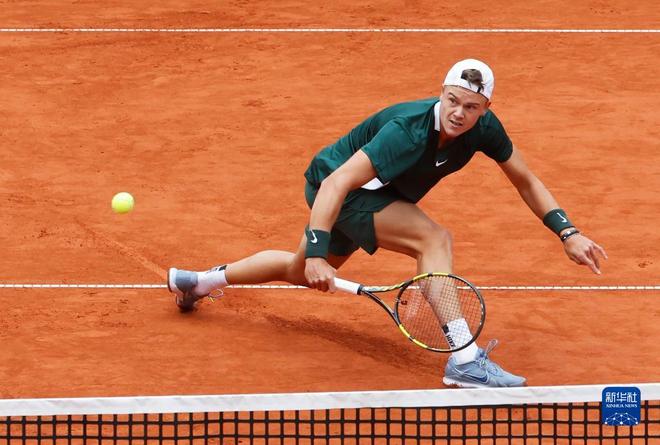 早期在森林 早期在森林