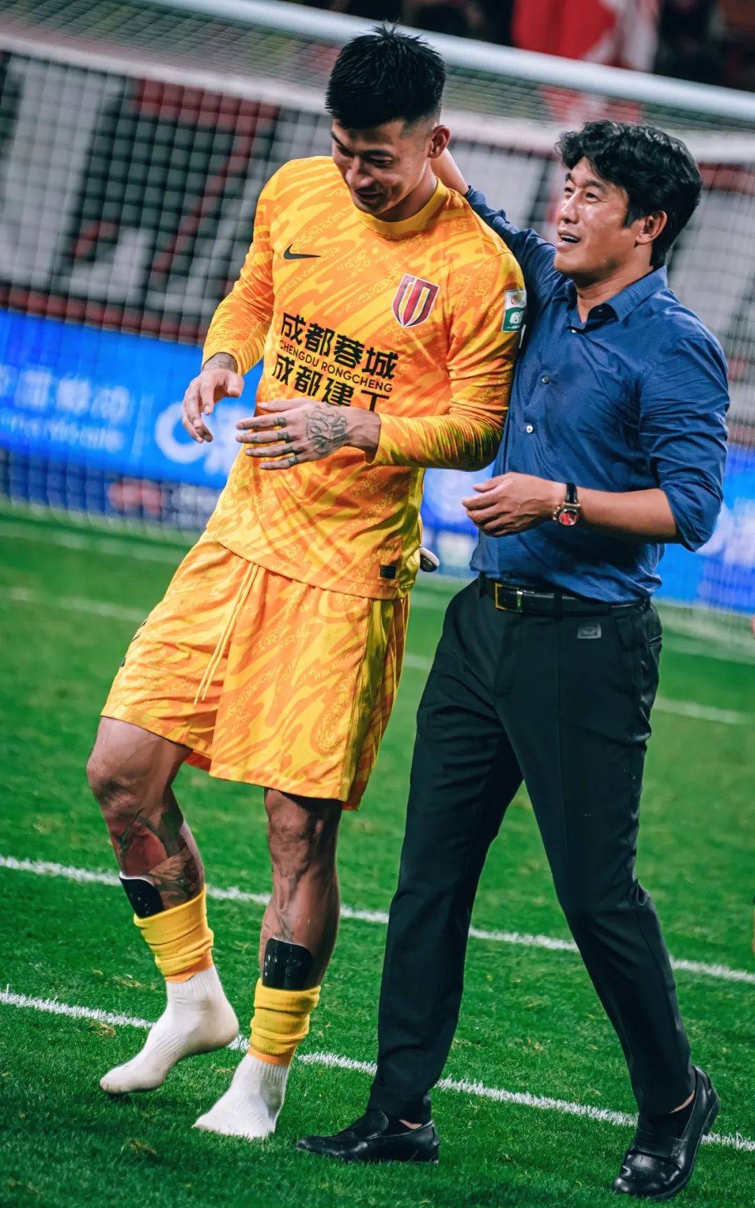 相比其他体 相比其他体