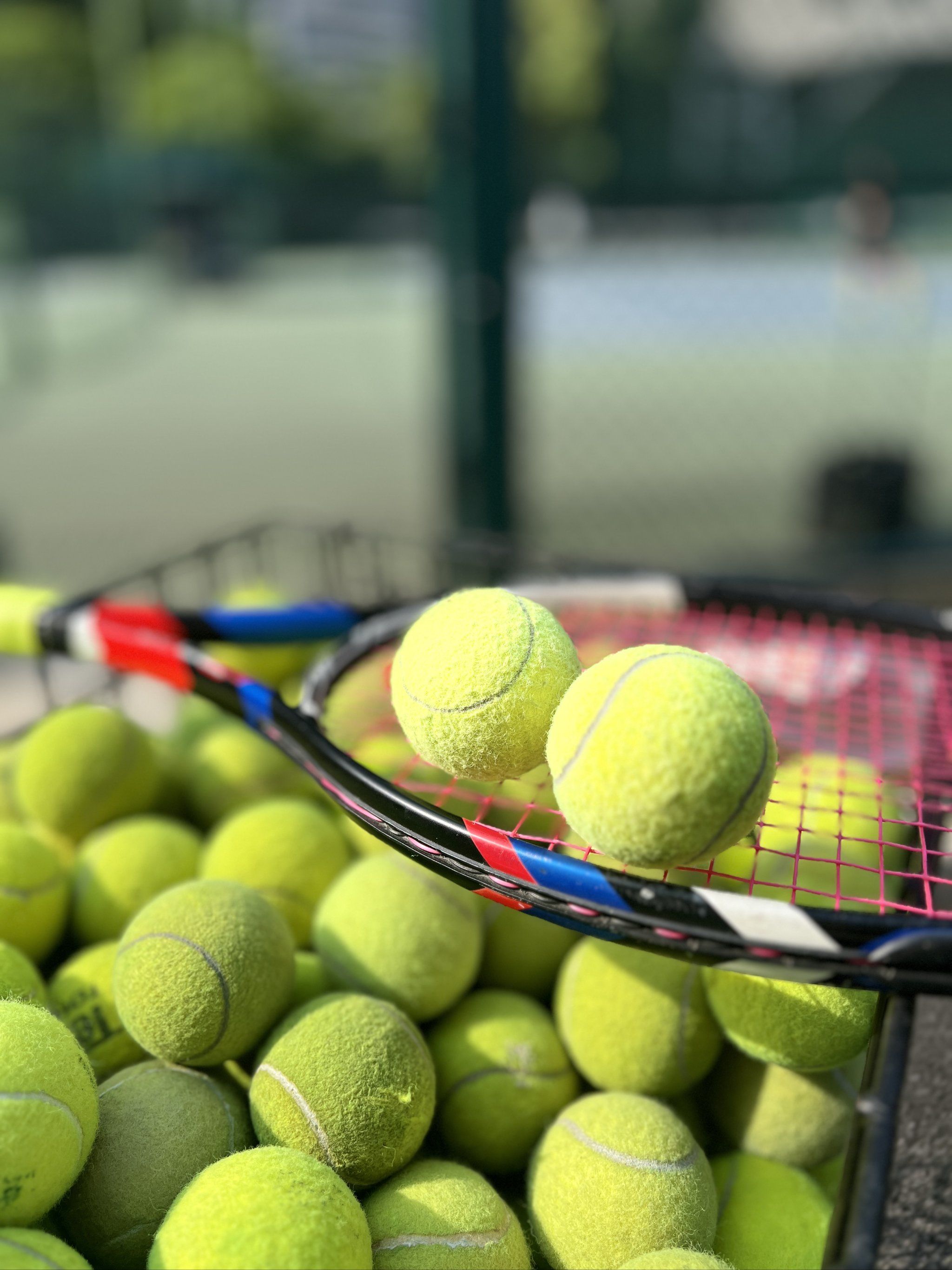 排名第4的 排名第4的