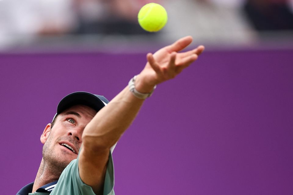 前赛植入打